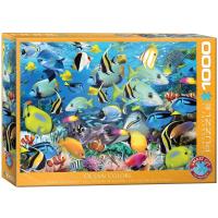 Opakowanie Puzzle 1000 Kolory oceanu