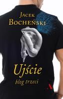 Ujście. Blog trzeci. Autor: Bocheński Jacek. SmakLiter.pl Okładka książki Ujście. Blog trzeci