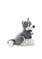 Opakowanie Husky Marcus L