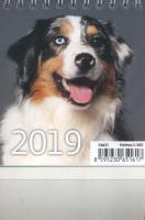 Opakowanie Kalendarz 2019 biurkowy mini pieski