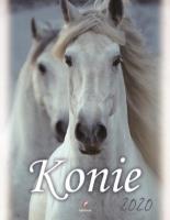 Opakowanie Kalendarz 2020 ścienny Wieloplanszowy Konie