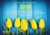 Kalendarz z wersetami biblijnymi BOGULANDIA 2018. Wydawca: Bogulandia. SmakLiter.pl Opakowanie Kalendarz z wersetami biblijnymi BOGULANDIA 2018