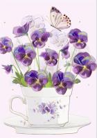 Opakowanie Karnet B6 + koperta Bratki