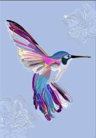 Opakowanie Karnet B6 + koperta Koliber