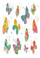 Opakowanie Karnet B6 + koperta Motylki