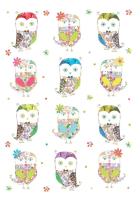 Opakowanie Karnet B6 + koperta Sówki