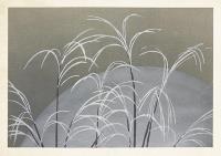 Opakowanie Karnet ST384 B6 + koperta Japońska trawa