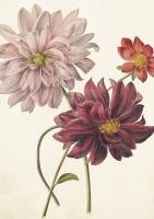 Opakowanie Karnet ST386 B6 + koperta Dalia