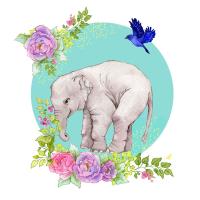 Opakowanie Karnet Swarovski kwadrat CL2004 Słoń