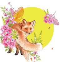 Opakowanie Karnet Swarovski kwadrat CL2005 Lis