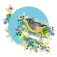 Opakowanie Karnet Swarovski kwadrat CL2007 Żólty ptaszek