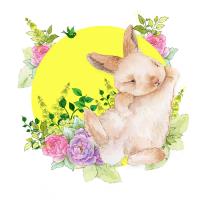 Karnet Swarovski kwadrat CL2009 Królik. Wydawca: Clear Creations. SmakLiter.pl Opakowanie Karnet Swarovski kwadrat CL2009 Królik