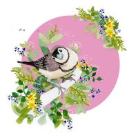 Opakowanie Karnet Swarovski kwadrat CL2010 Ptaszek