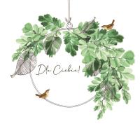 Opakowanie Karnet Swarovski kwadrat CL4002_PO Dla Ciebie!