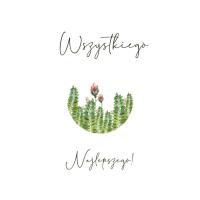 Opakowanie Karnet Swarovski kwadrat CL4011_PO Najlepszego