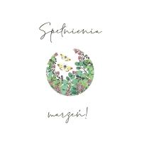 Opakowanie Karnet Swarovski kwadrat CL4012_PO Marzenia