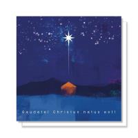 Opakowanie Kartka Boże Narodzenie 04