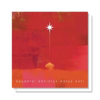 Opakowanie Kartka Boże Narodzenie 07