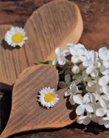 Opakowanie Fotoalbum kieszeniowy zgrzewany Firry