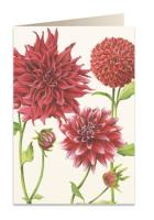 Opakowanie Karnet B6 + koperta 5545 Czerwona dalia