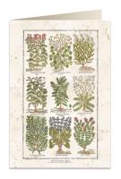 Opakowanie Karnet B6 + koperta 5575 Zioła