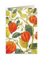 Opakowanie Karnet B6 + koperta 5586 Miechunka