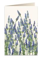 Opakowanie Karnet B6 + koperta 5591 Lawenda