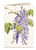 Opakowanie Karnet B6 + koperta 5598 Wisteria