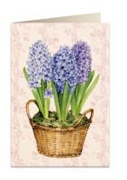 Opakowanie Karnet B6 + koperta 5691 Hiacynty