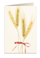 Opakowanie Karnet B6 + koperta 5717 Pszenica