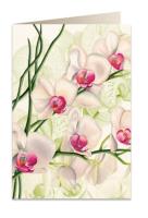 Opakowanie Karnet B6 + koperta 5723 Biała orchidea