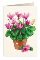 Opakowanie Karnet B6 + koperta 5756 Cyklamen