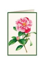 Opakowanie Karnet B6 + koperta 5816 Kamelia