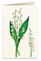 Opakowanie Karnet B6 + koperta 5819 Konwalia