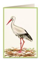 Opakowanie Karnet B6 + koperta 5824 Bocian