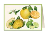 Opakowanie Karnet B6 + koperta 5851 Cytrusy