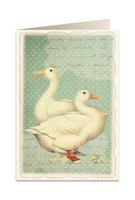 Opakowanie Karnet B6 + koperta 5903 Kaczki domowe