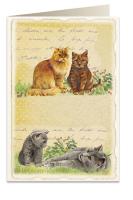 Opakowanie Karnet B6 + koperta 5904 Koty