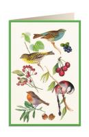 Opakowanie Karnet B6 + koperta 5928 Ptaszki