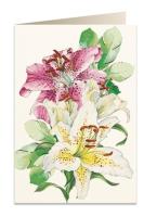 Opakowanie Karnet B6 + koperta 5932 Lilie 2