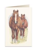 Opakowanie Karnet B6 + koperta 5937 Konie