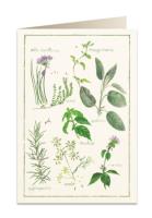 Opakowanie Karnet B6 + koperta 5955 Zioła aromatyczne