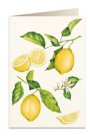 Opakowanie Karnet B6 + koperta 5957 Cytryny