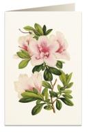 Opakowanie Karnet B6 + koperta 5966 Azalia