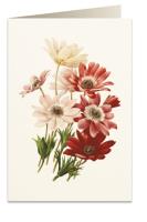 Opakowanie Karnet B6 + koperta 5967 Zawilec