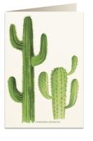 Opakowanie Karnet B6 + koperta 5986 Kaktusy