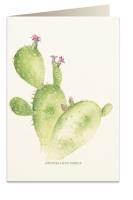 Opakowanie Karnet B6 + koperta 5987 Opuncja