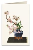 Opakowanie Karnet B6 + koperta 6012 Czarny wazon