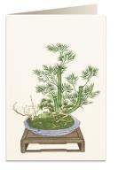 Opakowanie Karnet B6 + koperta 6013 Bambus