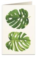 Opakowanie Karnet B6 + koperta 6015 Monstera